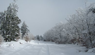 Le Moure de la Gardille