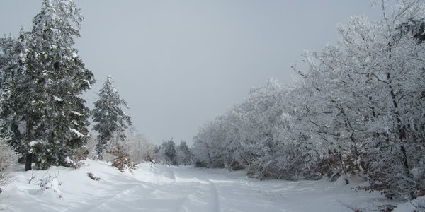 Le Moure de la Gardille