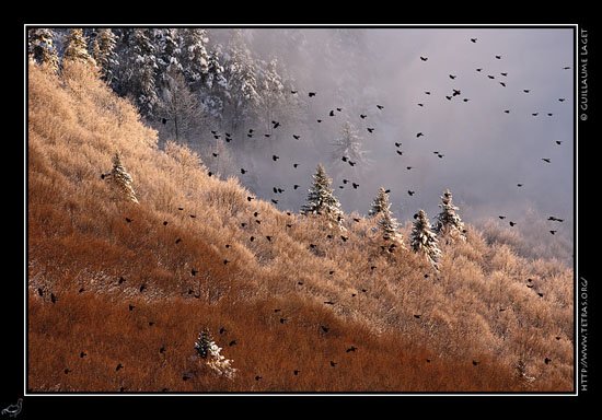 Sur les hauteurs de Gresse-en-Vercors - Photo Guillaume Lage