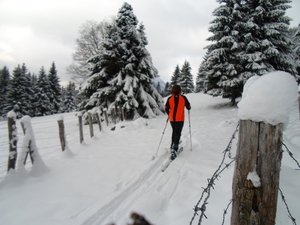 Le Col du Plane