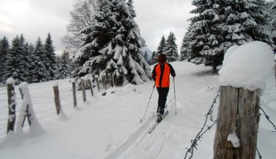 Le Col du Plane