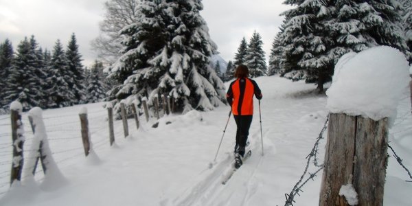 Le Col du Plane