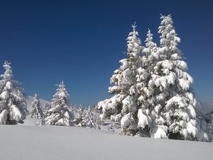 Pipay par la piste-Col de Merdaret