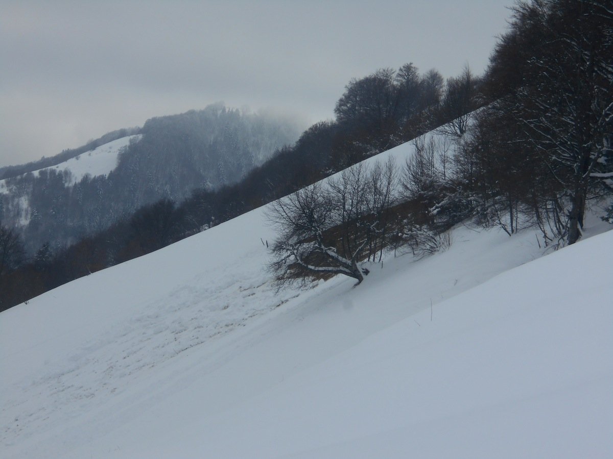 DSCN0948.JPG