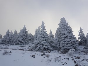 Stade de neige de Lans-en-Vercors – Le Moucherotte