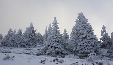 Stade de neige de Lans-en-Vercors – Le Moucherotte