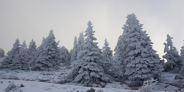 Stade de neige de Lans-en-Vercors – Le Moucherotte