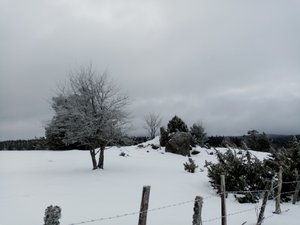 Pradeaux Taille L