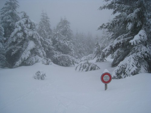 Traversée de la Margeride