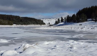 Lac Charpal -  Un air de Canada en Margeride