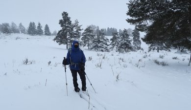 Boucle Prinsuéjols - étang de Baume