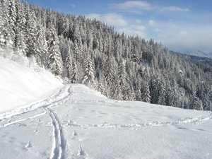 Autour de la croix de Coste : Bois et lac des Saisies et Forêt de Bisanne