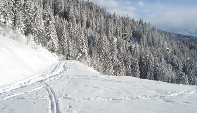 Autour de la croix de Coste : Bois et lac des Saisies et Forêt de Bisanne