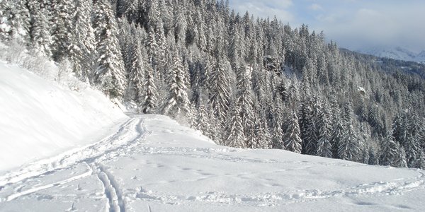 Autour de la croix de Coste : Bois et lac des Saisies et Forêt de Bisanne