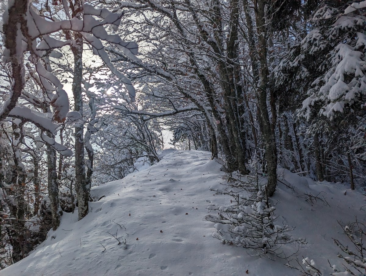 les-narces-vercors-ski-de-randonnee-nordique.jpg