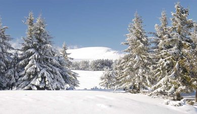 Guéry Puy de Chantauzet