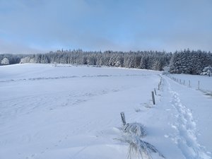 Pilat Col de la République les Trois Croix