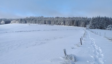 Pilat Col de la République les Trois Croix