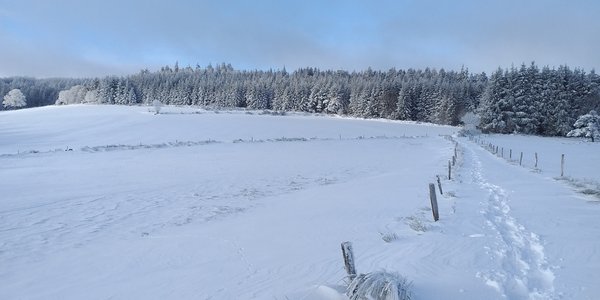 Pilat Col de la République les Trois Croix