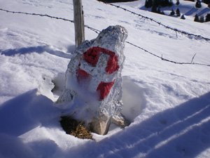 La Plagne – La Croix de l’Alpe