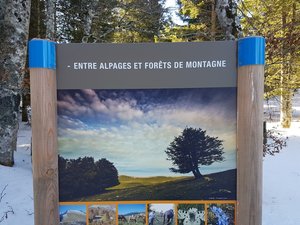 En bordure du plateau d'Ambel