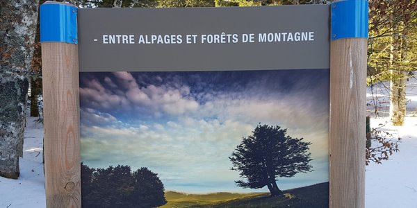 En bordure du plateau d'Ambel