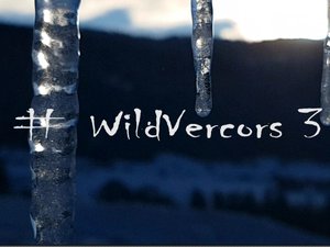 #WildVercors 3 : Bourg de Dessus – Bec de L’Orient