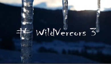 #WildVercors 3 : Bourg de Dessus – Bec de L’Orient