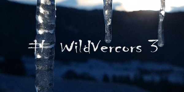 #WildVercors 3 : Bourg de Dessus – Bec de L’Orient