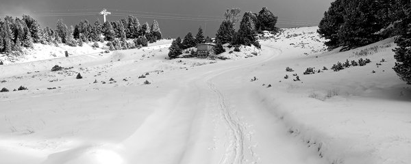 20231111_082531.jpg