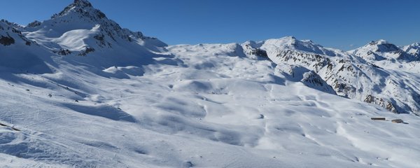IMG_7919.jpg
