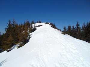 Le Crêt Luisard