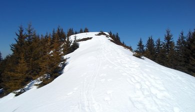 Le Crêt Luisard