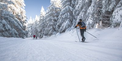 Le métier d’accompagnateur en ski de randonnée nordique : expertise, pédagogie et responsabilité au cœur de la montagne hivernale