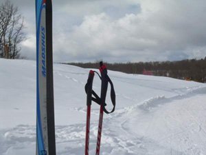 Ski Madshus - Massif du Vercors
