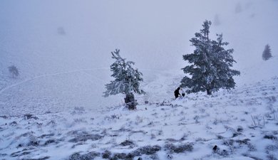 Puy de Pariou  AR, ski sylvestre