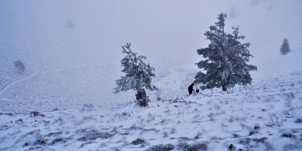 Puy de Pariou  AR, ski sylvestre