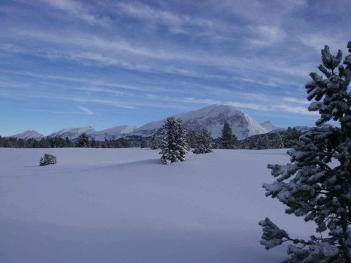 Au loin, le Grand Veymont