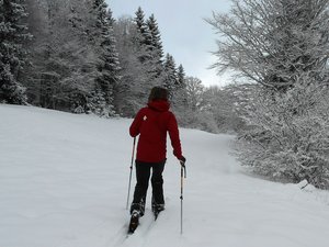 Vagabondage au col de Plainpalais