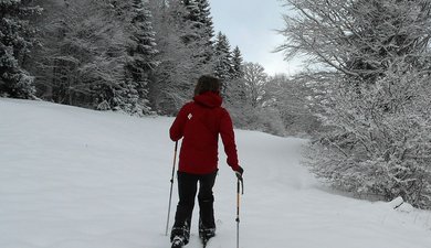 Vagabondage au col de Plainpalais