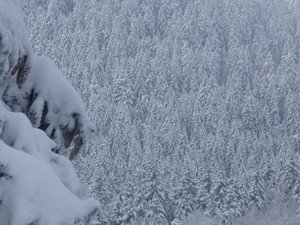 Météo Montagne : prévisions, bulletins neige et risques d'avalanches
