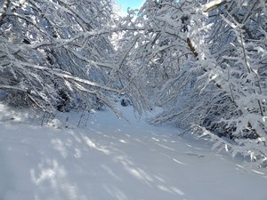 Nord du plateau du Retord sauvage