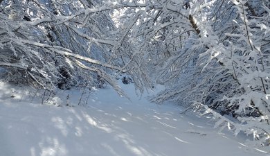 Nord du plateau du Retord sauvage