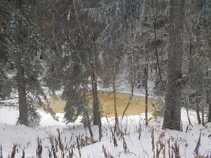 #WildVercors 1 - Les Narces – Gros Martel