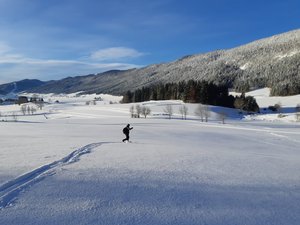 Grosse poudre et descente parfaite 