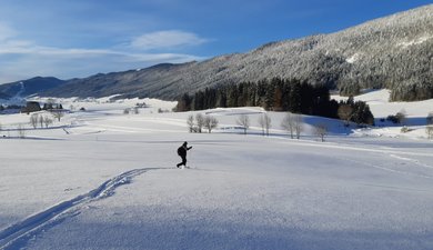 Grosse poudre et descente parfaite 