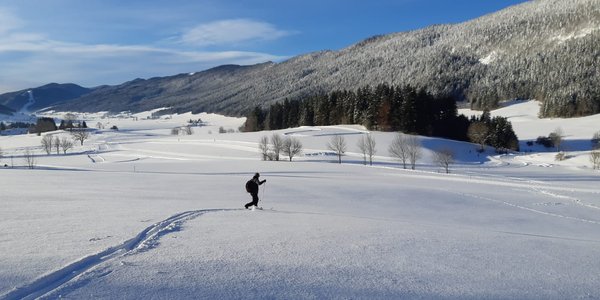 Grosse poudre et descente parfaite 