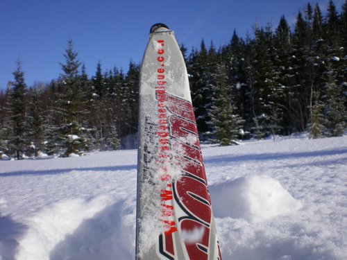 A la découverte des grands espaces !