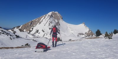 Où acheter ou louer une pulka cet hiver ?
