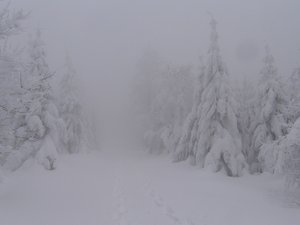 Plateau d'Ambel : Tubanet depuis Pionnier